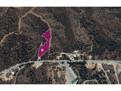 (Share) Agricultural field in Evrychou, Nicosia in Nicosia