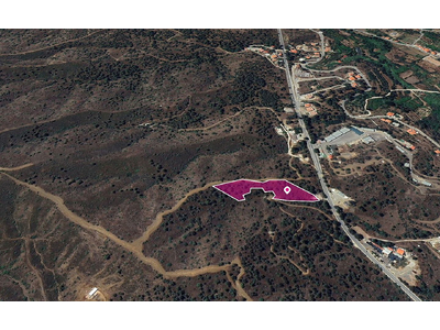 (Share) Agricultural field in Evrychou, Nicosia