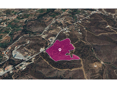 (Share) Agricultural / Touristic field in Evrychou. in Nicosia