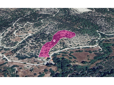Special Protection Zoned Field in Pano Archimandrita, Paphos.