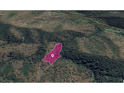 Agricultural Field in Pigenia, Nicosia