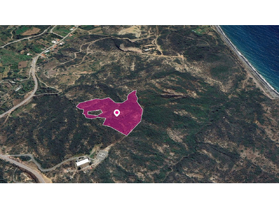 (Share) Agricultural Field in Kato Pyrgos, Nicosia
