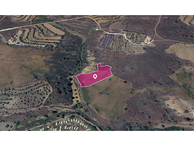 Field in Agrokipia, Nicosia