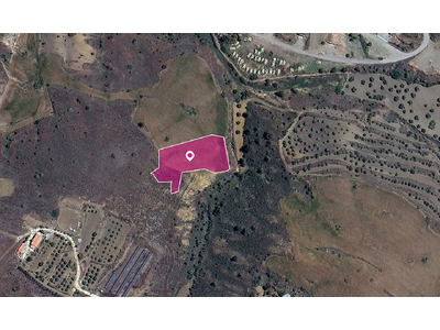 Field in Agrokipia, Nicosia
