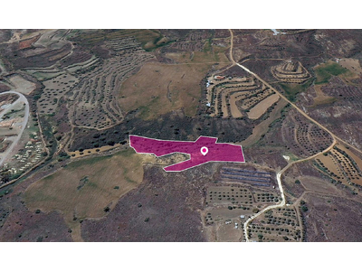 Field in Agrokipia, Nicosia
