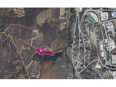 Field in Agrokipia, Nicosia