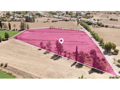 (Share) Field in Potamia, Nicosia in Nicosia