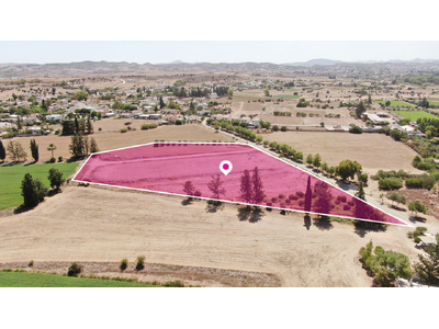 (Share) Field in Potamia, Nicosia