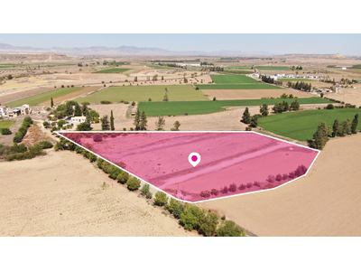 (Share) Field in Potamia, Nicosia