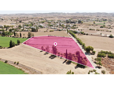 (Share) Field in Potamia, Nicosia