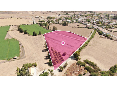 (Share) Field in Potamia, Nicosia