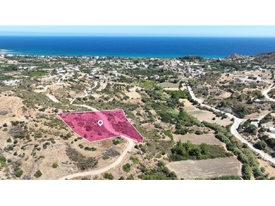 Field in Kato Pyrgos, Nicosia