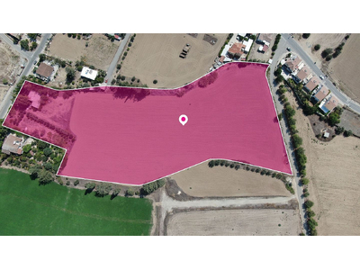 (Share) Field in Potamia, Nicosia