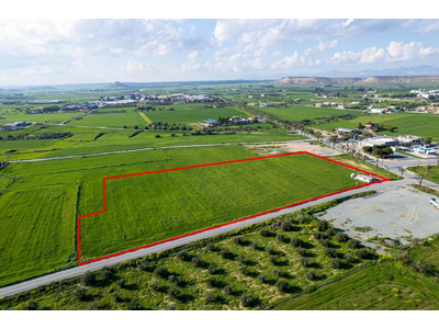 Shared agricultural field in Athienou, Larnaca in Larnaca