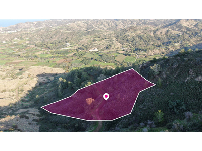 Residential field located in Pigenia, Nicosia