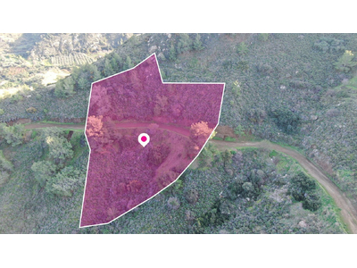 Residential field located in Pigenia, Nicosia