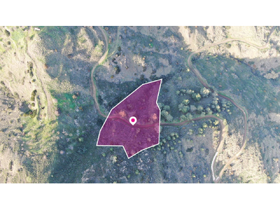 Residential field located in Pigenia, Nicosia
