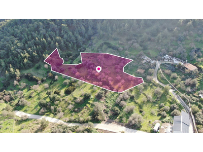 Residential field located in Pigenia, Nicosia