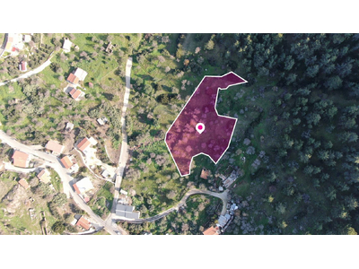 Residential field located in Pigenia, Nicosia
