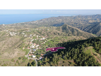 Residential field located in Pigenia, Nicosia