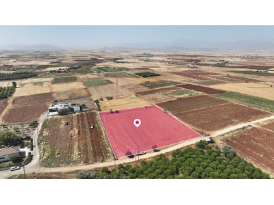 Residential field in Peristerona, Nicosia