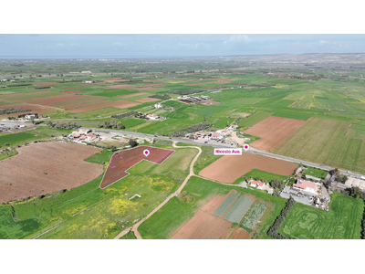 (Share) Agricultural field in Peristerona, Nicosia in Nicosia