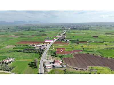 (Share) Agricultural field in Peristerona, Nicosia