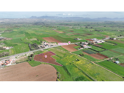 (Share) Agricultural field in Peristerona, Nicosia
