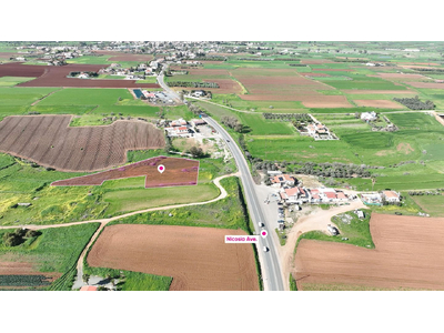 (Share) Agricultural field in Peristerona, Nicosia