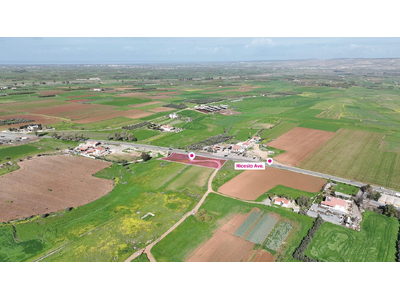 (Share) Agricultural field in Peristerona, Nicosia in Nicosia