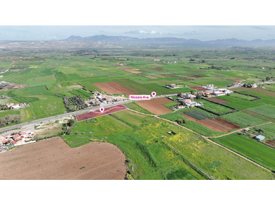 (Share) Agricultural field in Peristerona, Nicosia