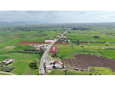 (Share) Agricultural field in Peristerona, Nicosia