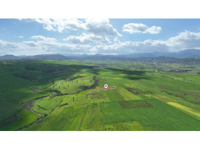 Animal Breeding field in Peristerona, Nicosia