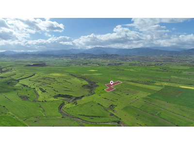 Animal Breeding field in Peristerona, Nicosia