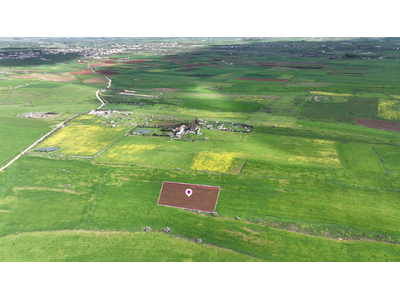Animal Breeding field in Peristerona, Nicosia in Nicosia