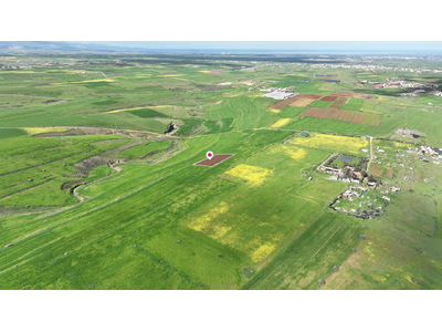 Animal Breeding field in Peristerona, Nicosia