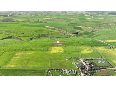 Animal Breeding field in Peristerona, Nicosia