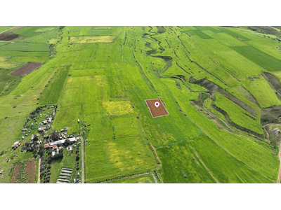 Animal Breeding field in Peristerona, Nicosia