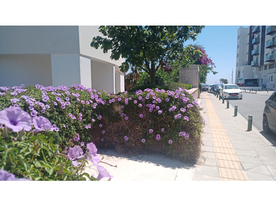 2-bedroom Seaview Apartment in Makenzy for Sale