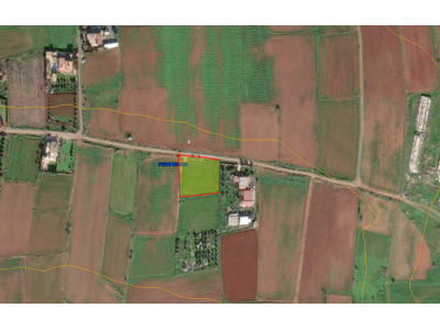 Residential Land for Sale in Peristerona  in Nicosia