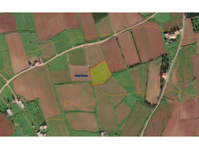 Agricultural Land for Sale in Peristerona in Nicosia