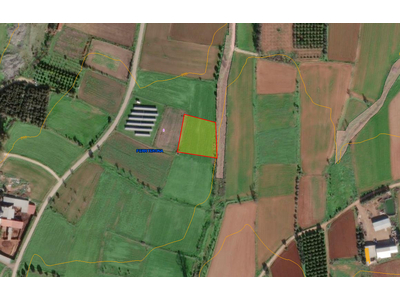 Agricultural Land for Sale in Peristerona in Nicosia