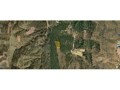 Agricultural Land for Sale in Mitsero, Nicosia